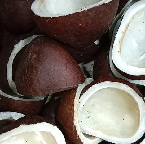 Loose Dry Coconut Copra Per Kg