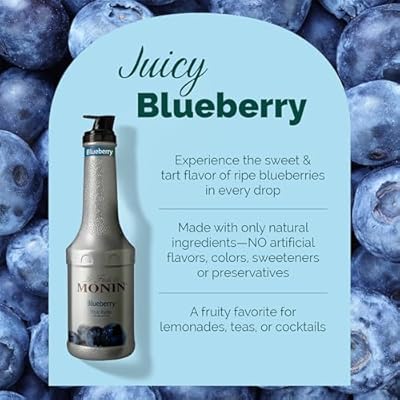 Monin Blueberry Fruit Mix Puree 1L